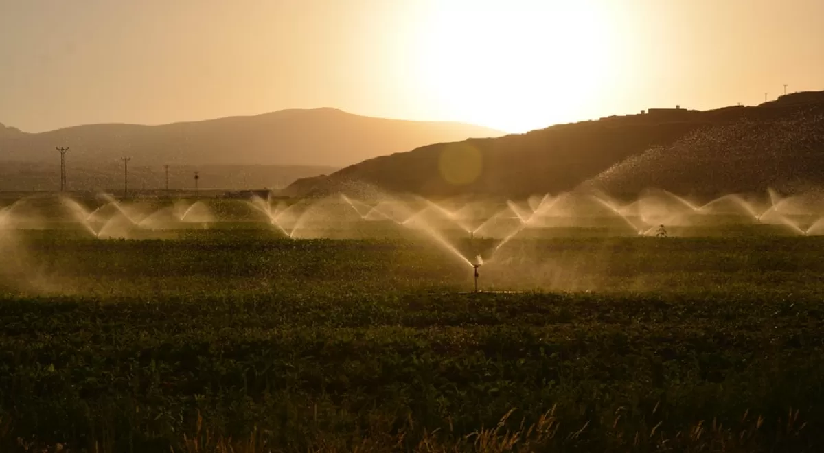 Las políticas europeas no garantizan el uso sostenible del agua en la agricultura