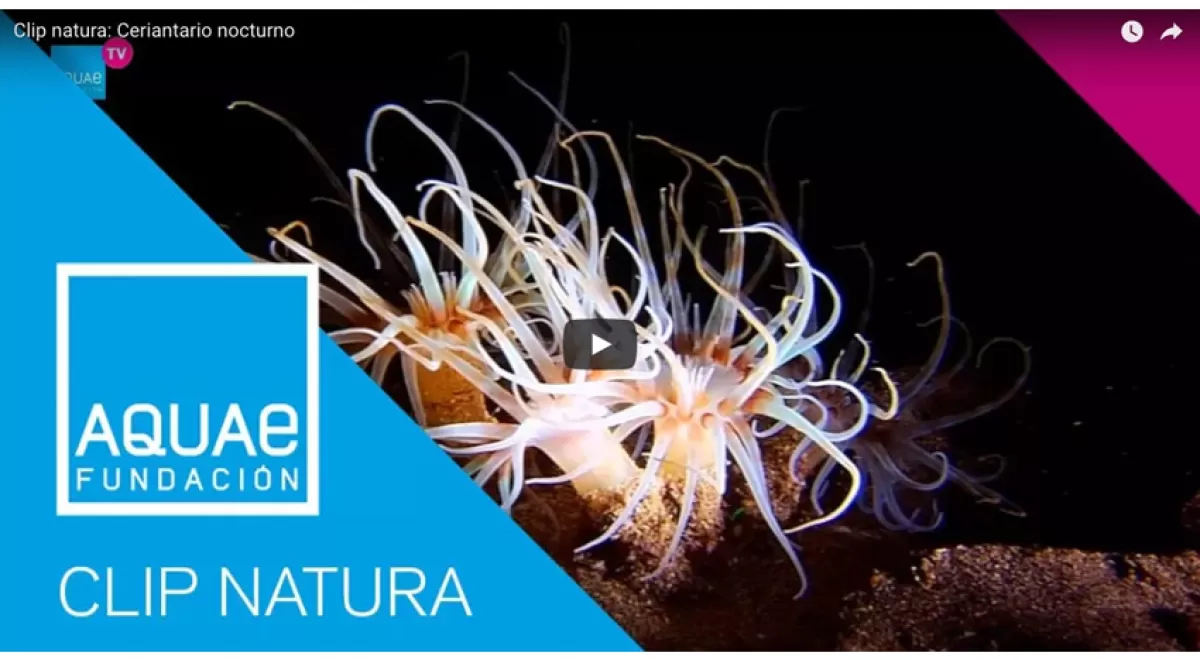 Fundación Aquae celebra el aniversario de Clips Natura, proyecto de micro-documentales sobre la Naturaleza