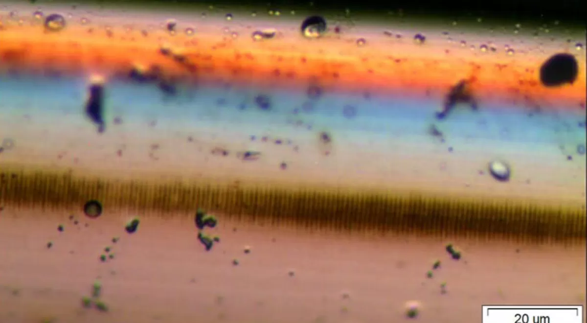 Desarrollan un biosensor capaz de detectar contaminantes de bajo peso molecular a muy bajas concentraciones