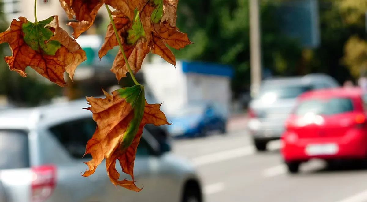 Es posible imponer penas de prisión a los funcionarios que se nieguen a cumplir con obligaciones sobre la calidad del aire