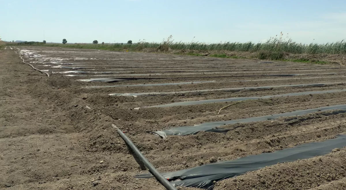 Nuevas ayudas por valor de 6 millones para la modernización de regadíos en la Comunidad Valenciana