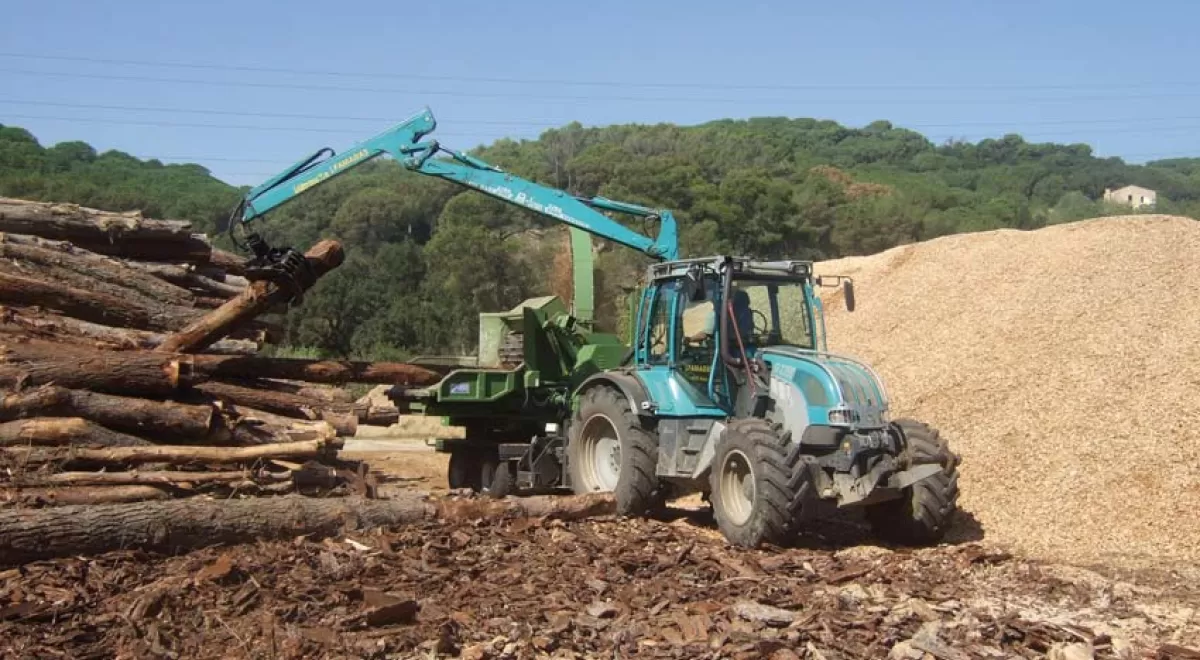 La biomasa se consolida en Cataluña: se instalan 1.800 nuevas calderas y crece la producción de pellet