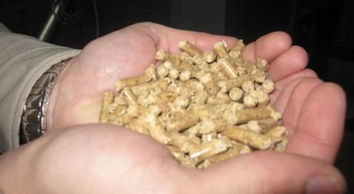 Nuevas subvenciones en Aragón para fomentar el uso de energías renovables en el ámbito doméstico