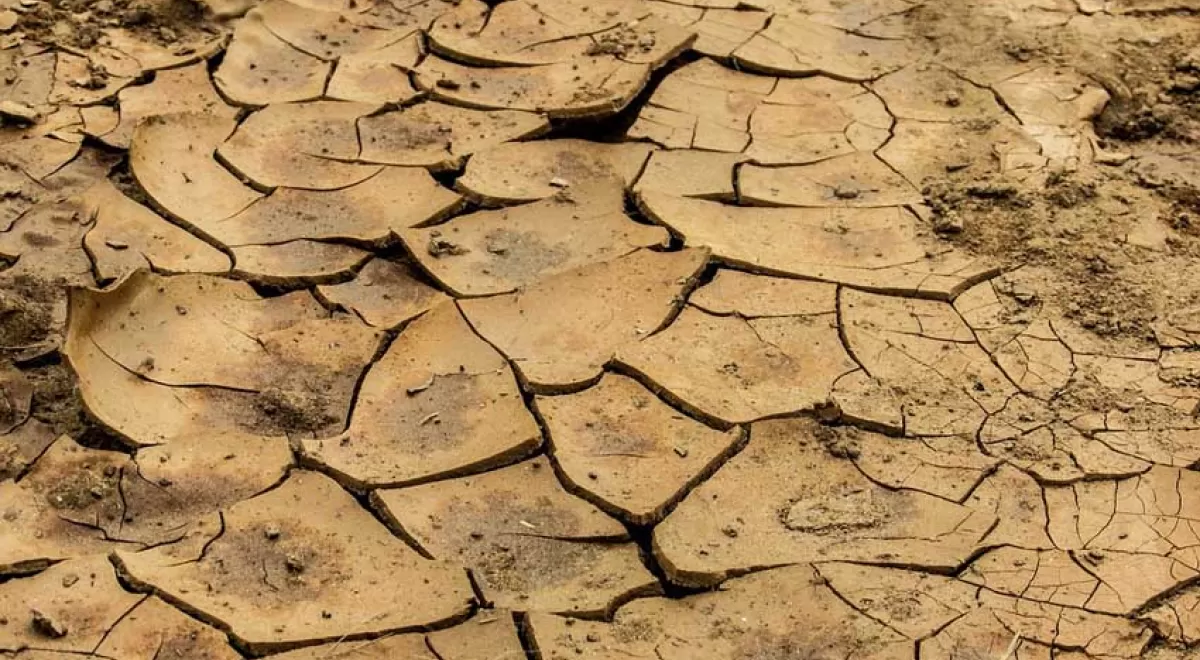 Ecologistas en Acción: la mala gestión de la sequía sitúa al borde del colapso a los humedales