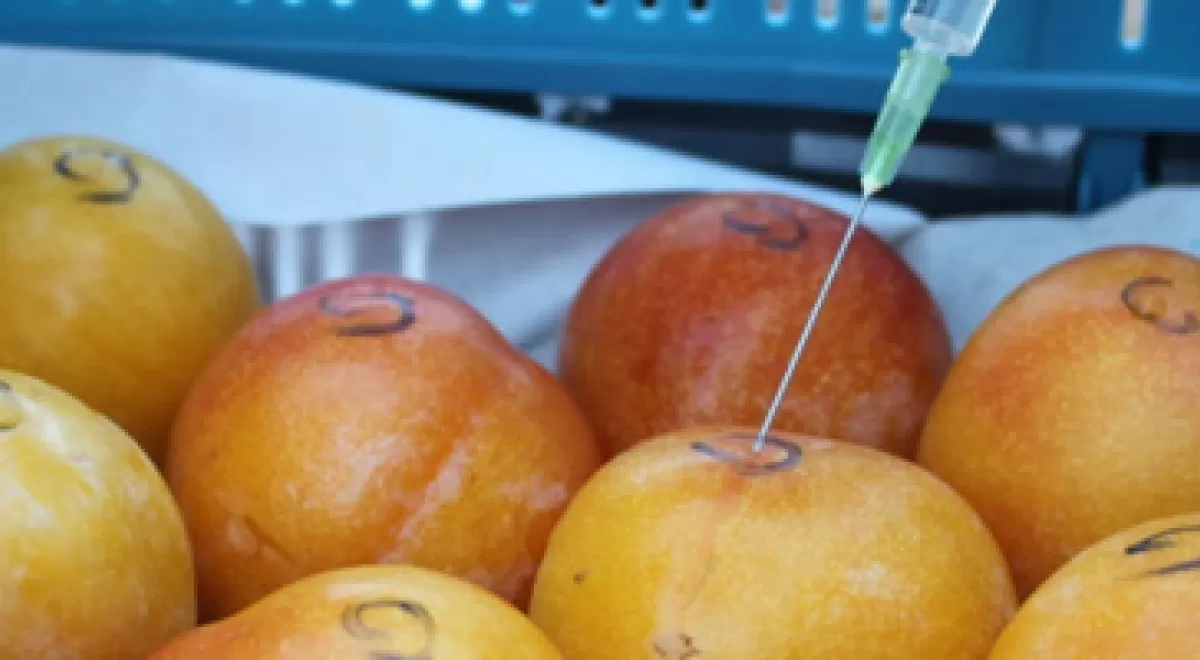 OXYION, un nuevo sistema de higienización de frutas y hortalizas que no genera residuos químicos