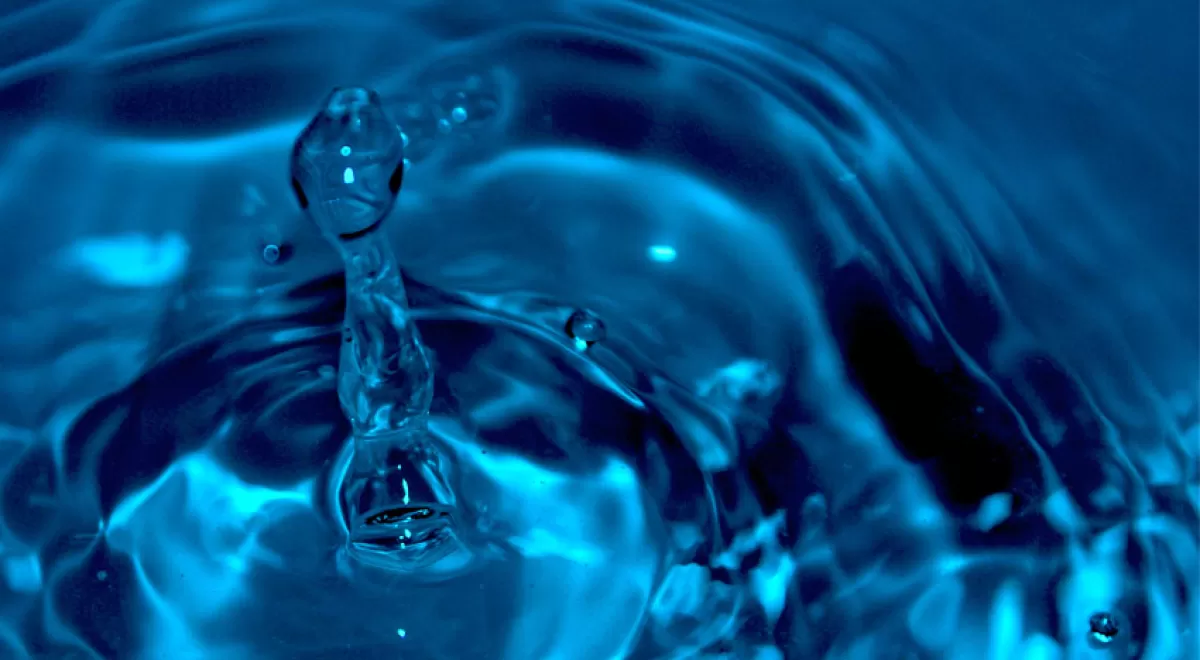 Optimizar el uso del agua, clave de los proyectos ganadores de los III Premios al Talento de la Fundación Botín