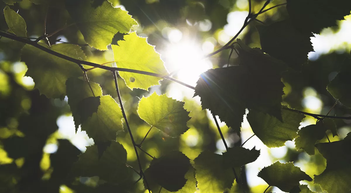 Es la hora de la naturaleza