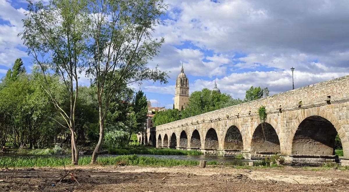 Salamanca avanza en un nuevo modelo medioambiental de ciudad con un Plan de Acción para el Clima y la Energía Sostenible