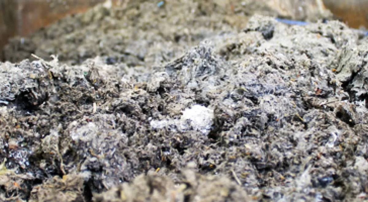 Pequeñas fibras, grandes consecuencias para la digestión de los lodos en las depuradoras