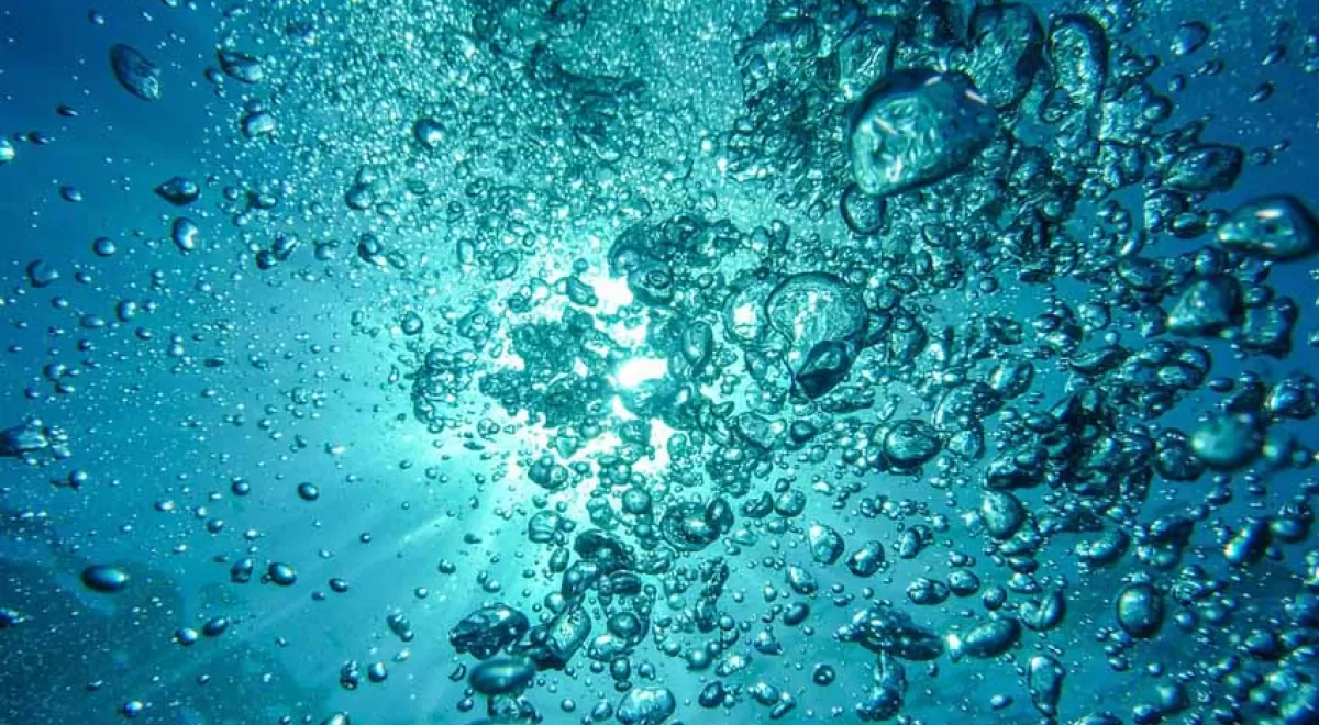 Recuperación de nutrientes y energía en aguas residuales domésticas mediante bacterias fototróficas