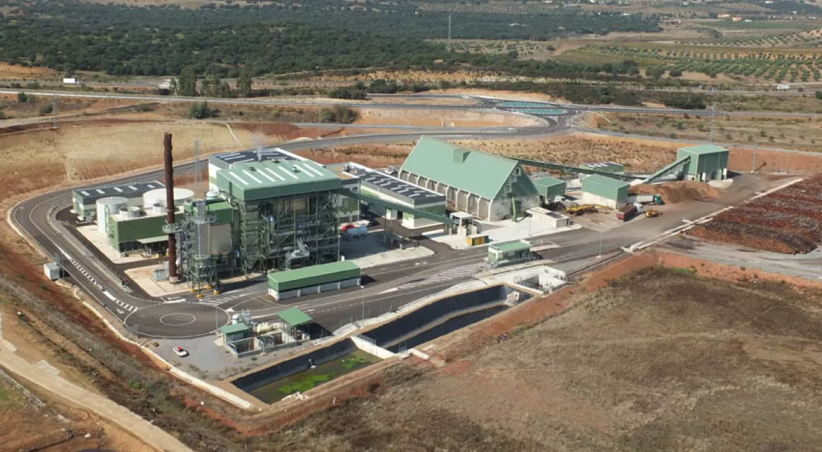 SENER construirá la nueva planta de generación eléctrica con biomasa de ENCE en Puertollano