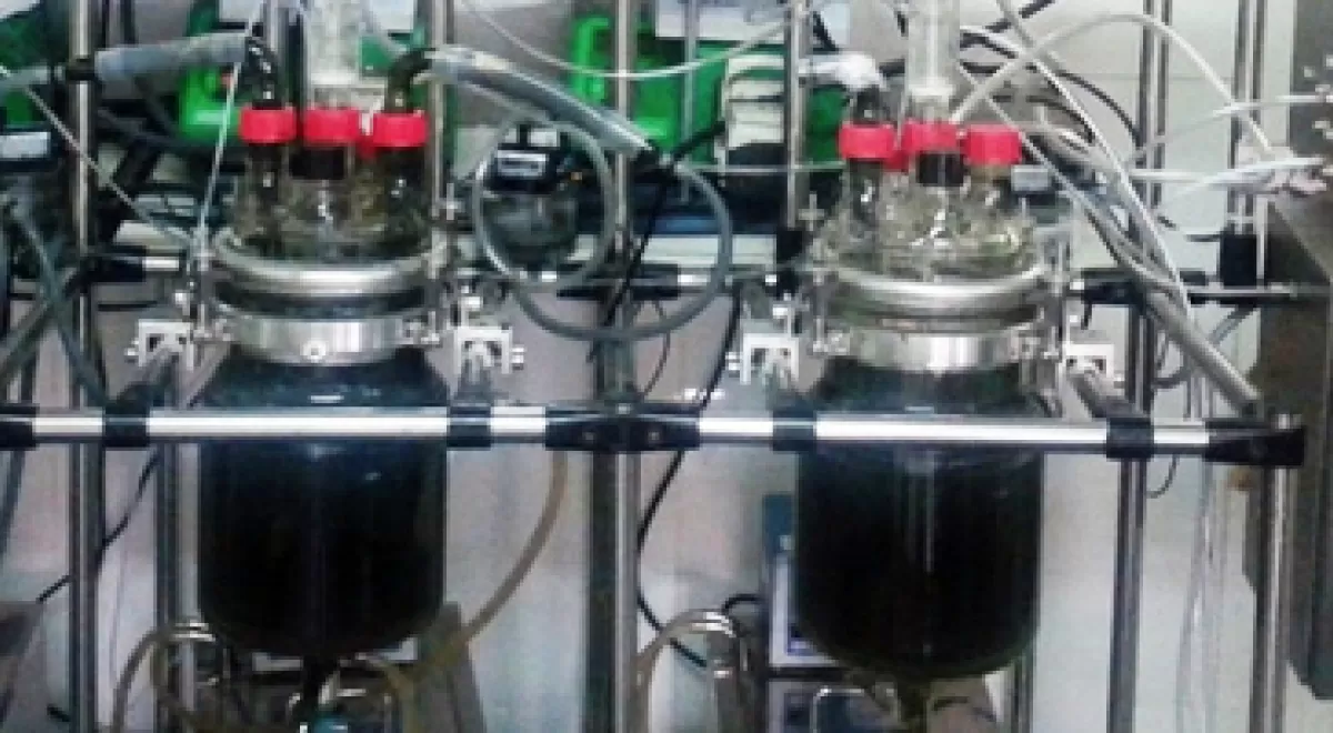 Digestión anaerobia de microalgas para la producción de biogás y el tratamiento de residuos en biorrefinerías