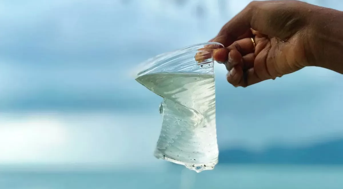 El plástico biodegradable no se degrada más rápido en entornos marinos