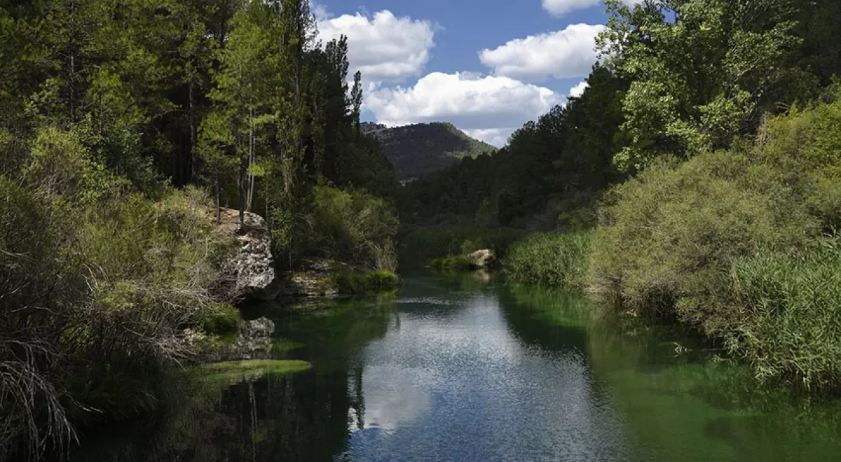Estudio de los múltiples factores de estrés en ecosistemas acuáticos mediterráneos