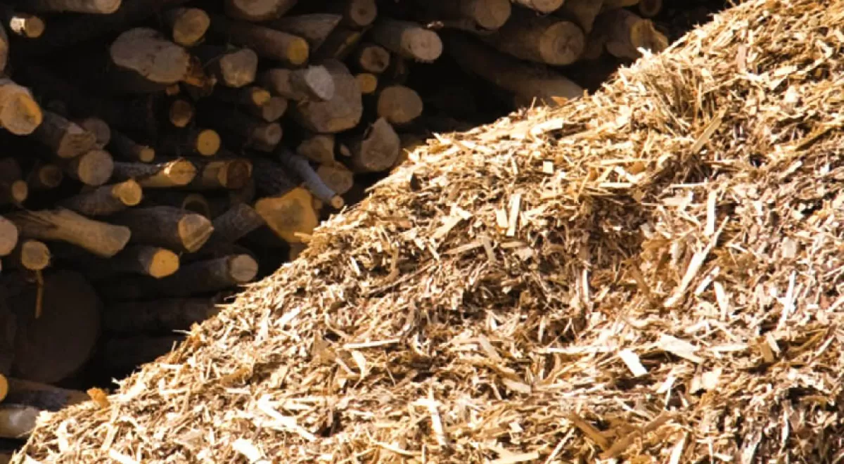 El MAPAMA convoca ayudas a la cooperación para el suministro sostenible de biomasa