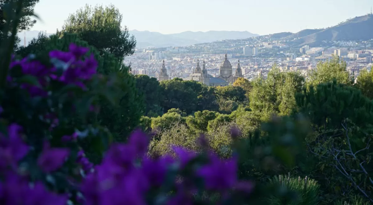 Barcelona, Castellón, Madrid y Alicante, entre las más beneficiadas ambientalmente por el confinamiento