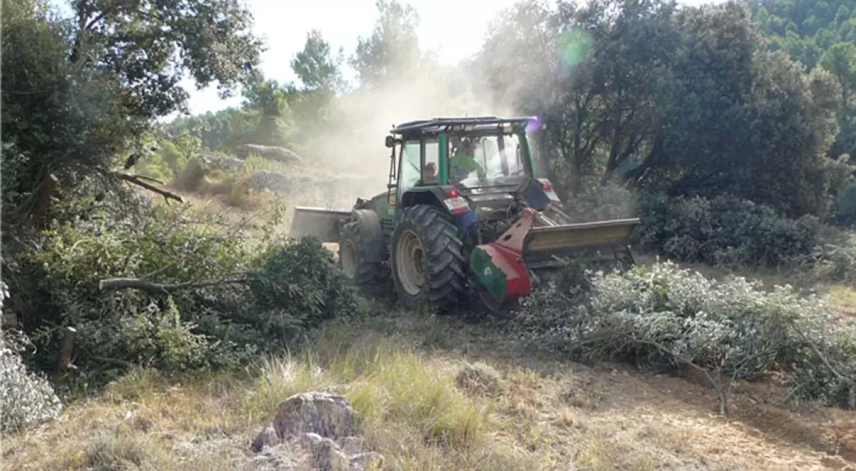 Más de 50 entidades promoverán el uso de la biomasa en el Bajo Aragón y Matarraña a través del proyecto greenGain