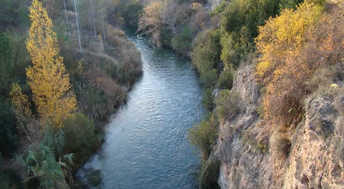 Objetivo: restaurar la vegetación de ribera para mejorar el estado ecológico de los ríos