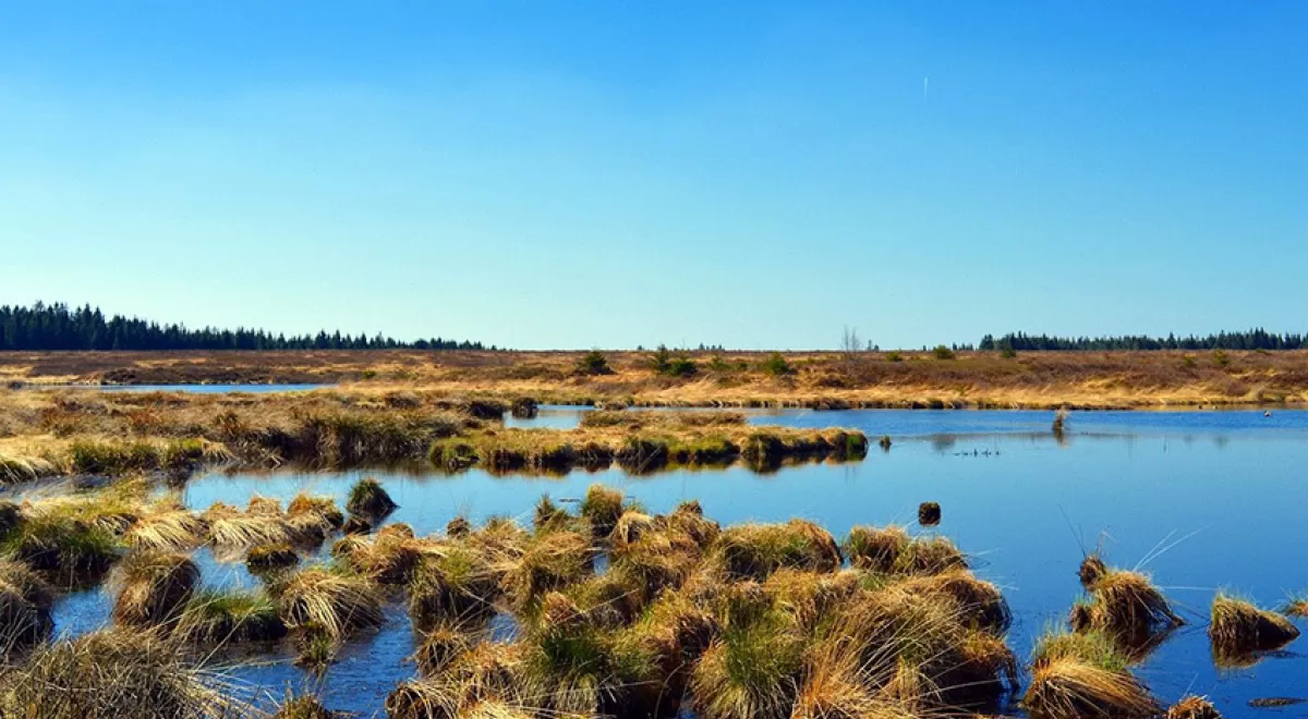 España se marca como objetivo la recuperación de 20.000 hectáreas de humedales en 2030