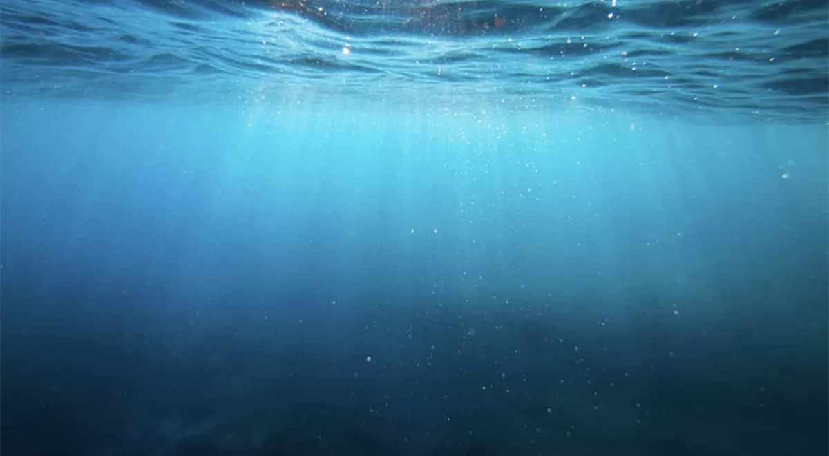 La AsociacioÌn Paisaje Limpio inicia la tercera fase del proyecto BAJUREC