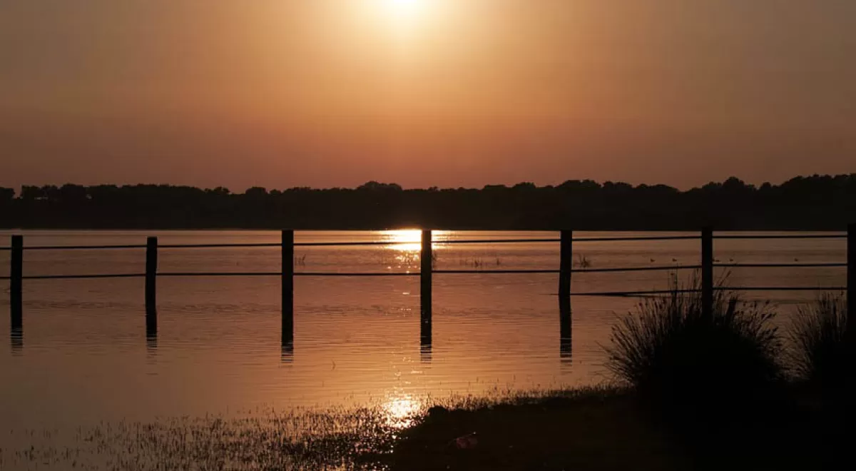 Urbanismo y regadío están secando Doñana: ¿hay solución?