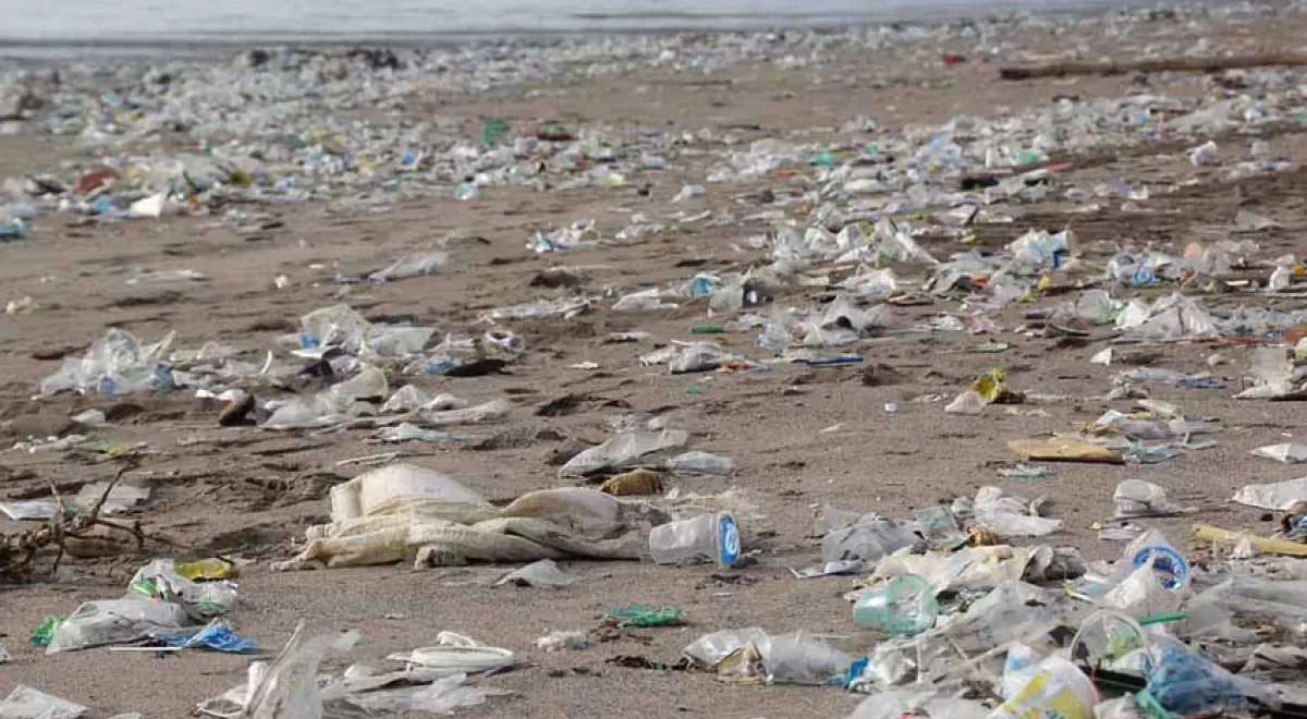 Los plásticos que flotan en el mar liberan carbono orgánico que estimula el crecimiento de bacterias