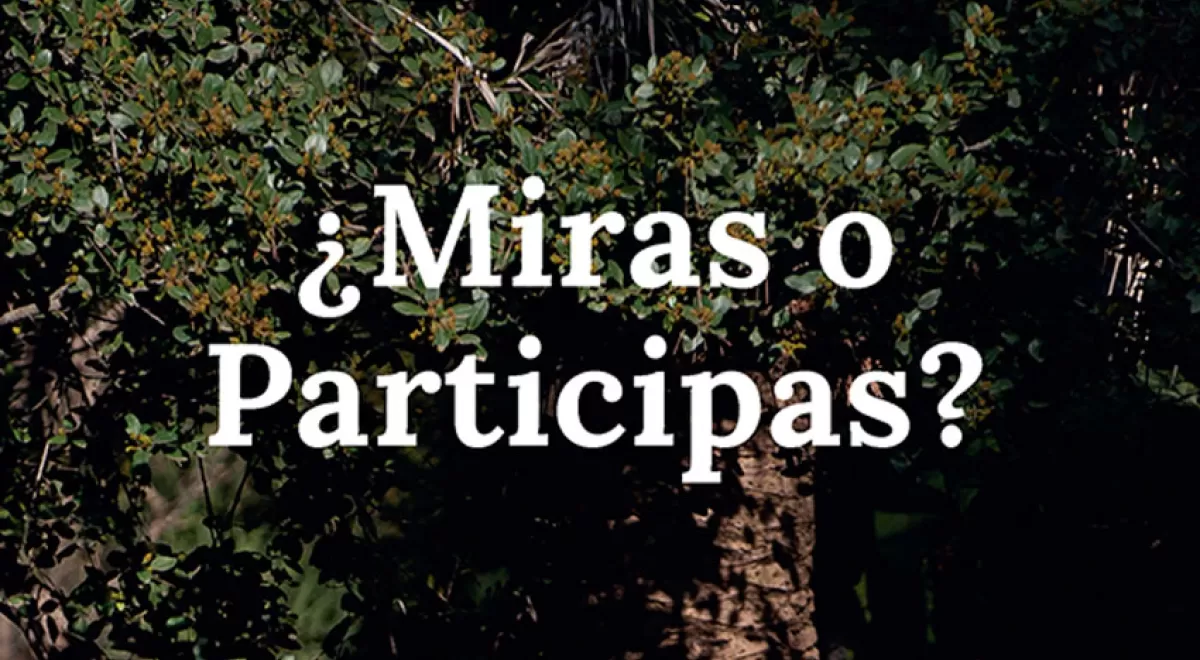 FCC celebra el Día Mundial del Medio Ambiente conectando a las personas con la naturaleza en un solo click