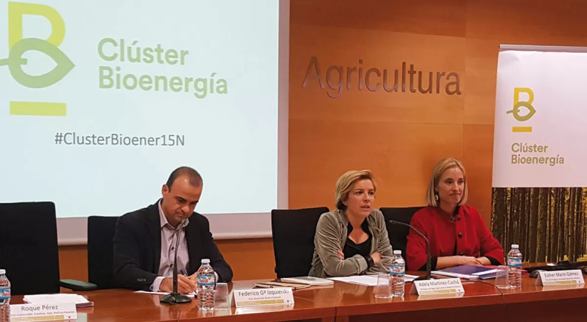 El Gobierno de la Región de Murcia pone en marcha el Clúster Regional de Bioenergía