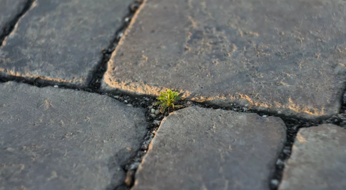El BC3 se adhiere al Manifesto por una recuperación económica sostenible