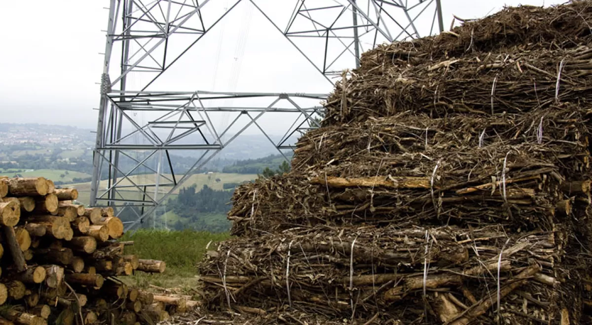 Europa defiende el uso de la biomasa como fuente de energía renovable ante los lobbies