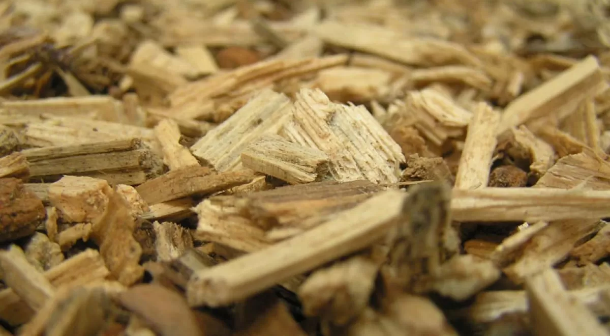 Instalaciones municipales, empresas y hogares muestran el potencial de la biomasa para la transición energética