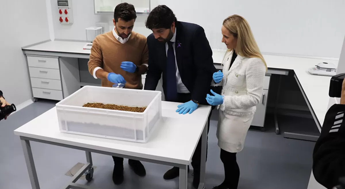 Murcia cuenta con un Centro de Investigación pionero en el uso de insectos como bioconversores de residuos