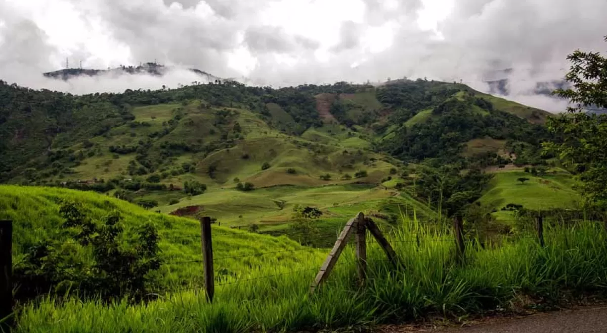 Colombia será el país anfitrión del Día Mundial del Medio Ambiente 2020