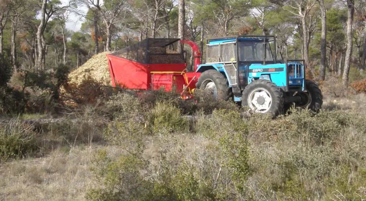 Castilla-La Mancha apuesta por sustituir sus calderas de gasoil por biomasa forestal