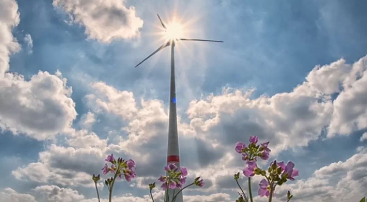 Las energías renovables siguen batiendo récords: más capacidad energética y más económica