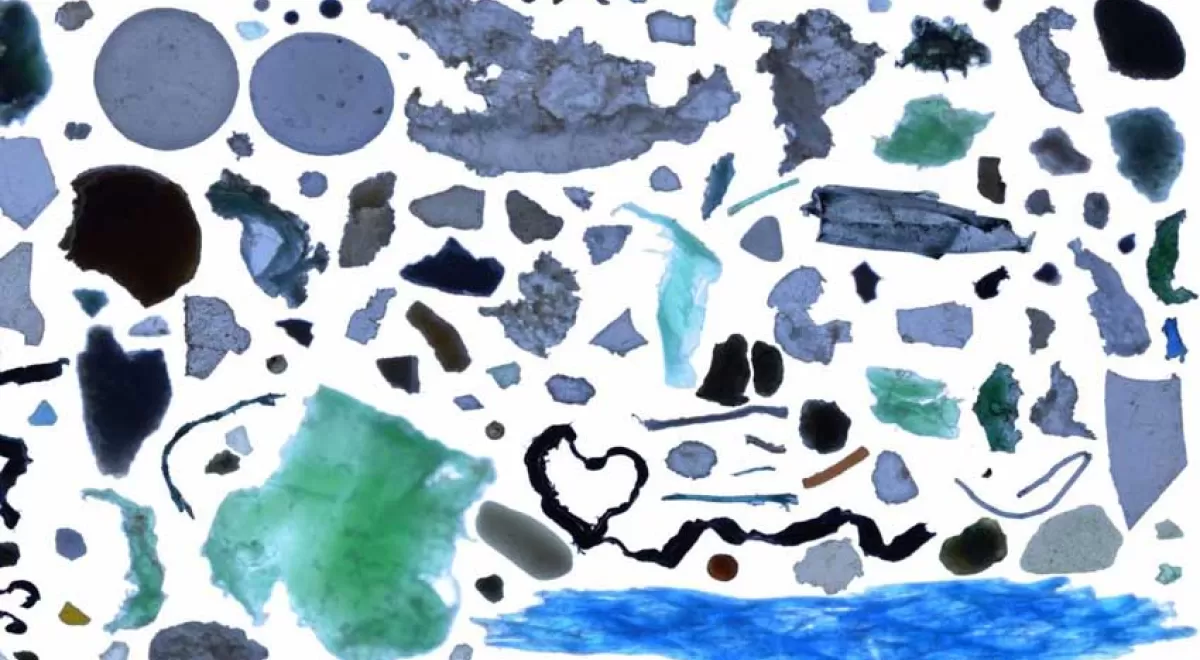 Un nuevo estudio ofrece una radiografía de la composición de la basura marina del planeta