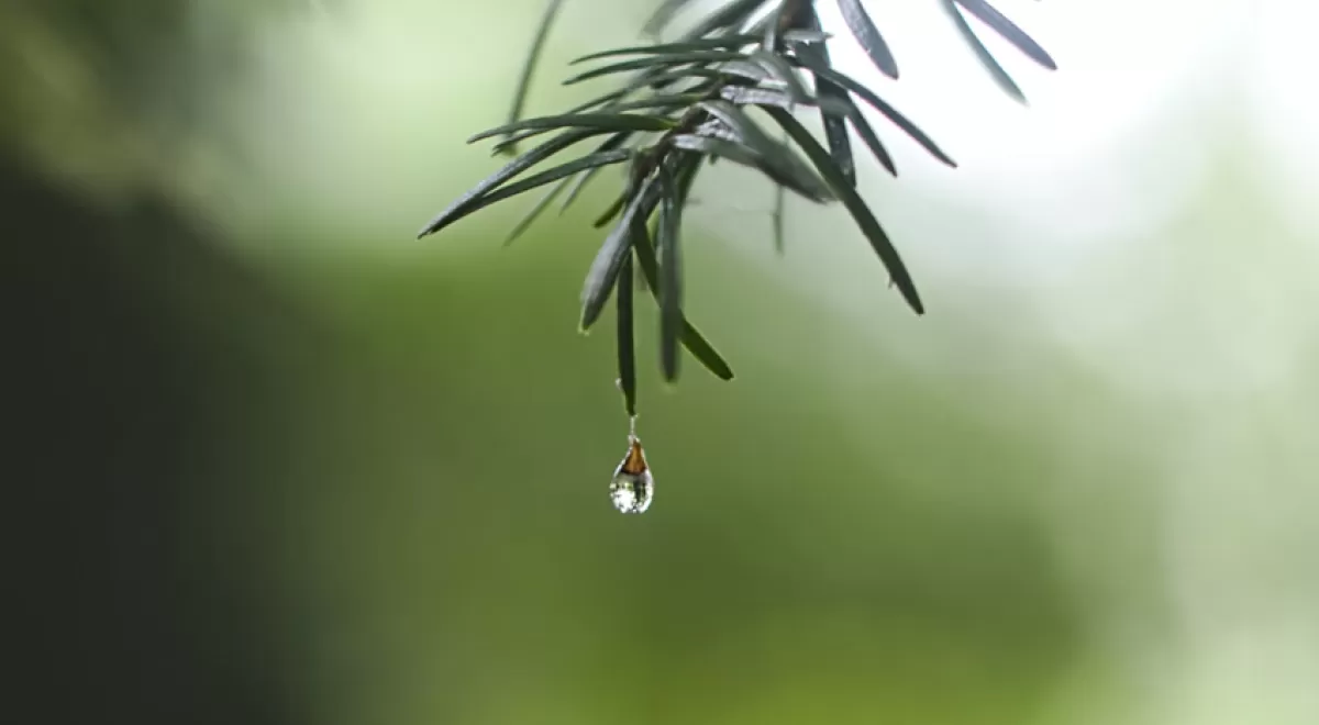 Casi 56 millones de euros para modernizar regadíos en la Comunidad Valenciana