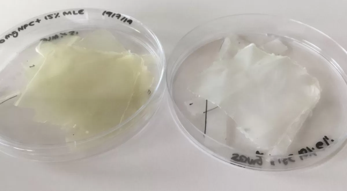 Crean un bioplástico de nanocelulosa y mango que mejora la conservación de alimentos