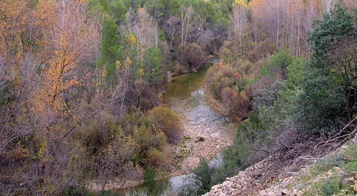 Un estudio propone el uso de nuevos índices ecológicos para evaluar el estado de los ríos