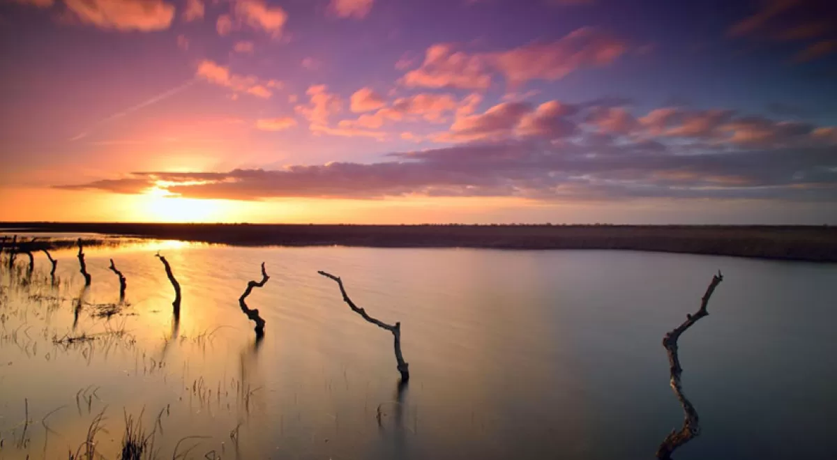 Doñana celebra su aniversario rodeada de amenazas