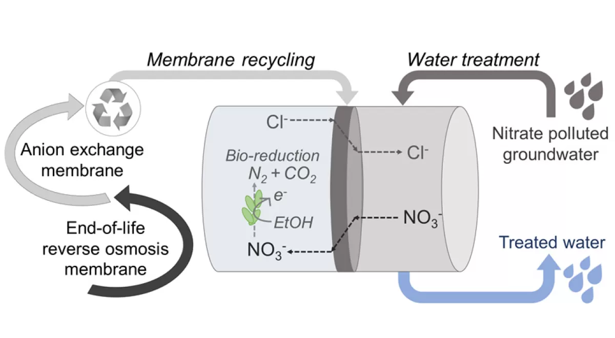 Separación de nitrato de aguas contaminadas mediante membranas recicladas