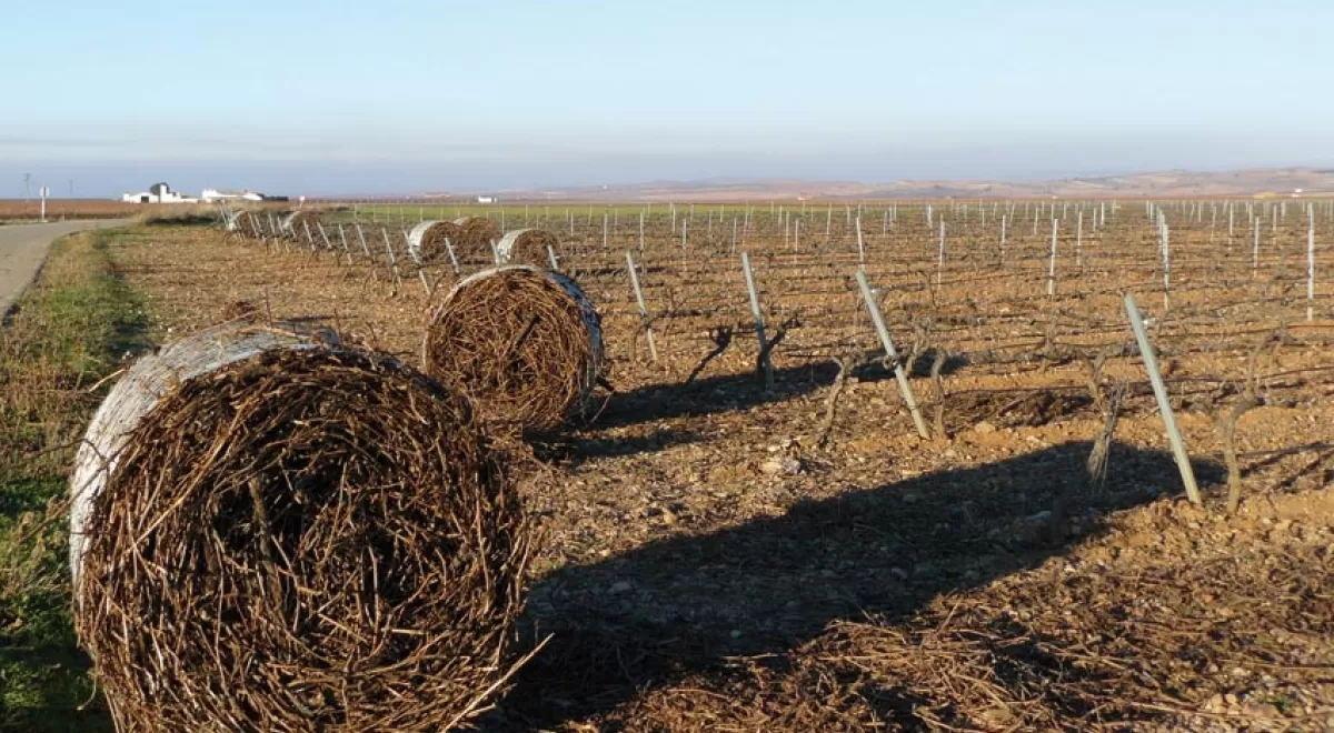 CIRCE organiza una jornada-taller para impulsar el uso de residuos de podas y arranques agrícolas