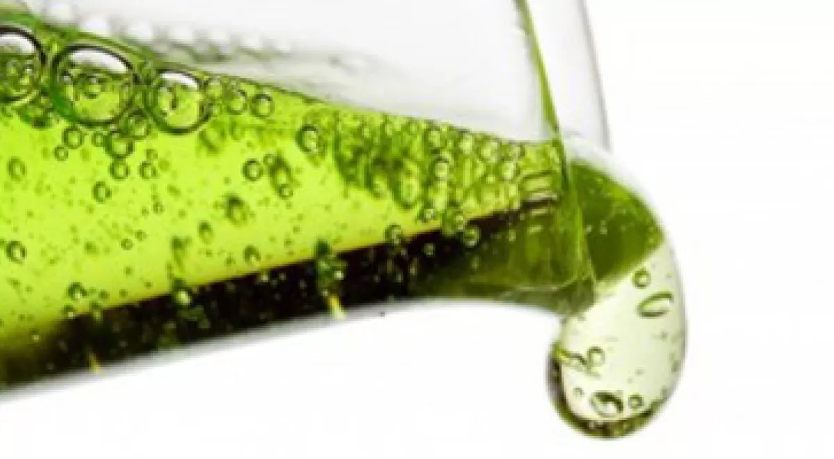 Neol Bio patenta una nueva tecnología de conversión de residuos agrícolas en aceites de uso industrial