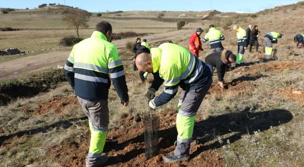 El proyecto \"Reforesta Zamora\" permitirá recuperar más de 10.000 m2 de superficie forestal
