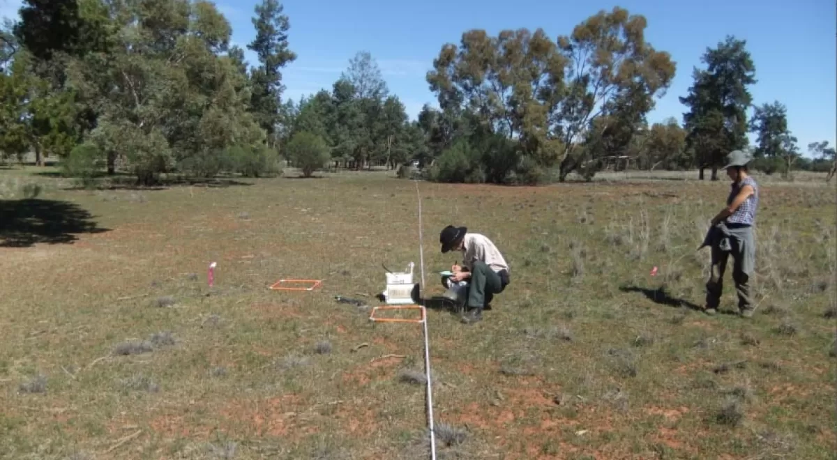 Investigadores de la URJC elaboran el primer atlas global de las bacterias del suelo