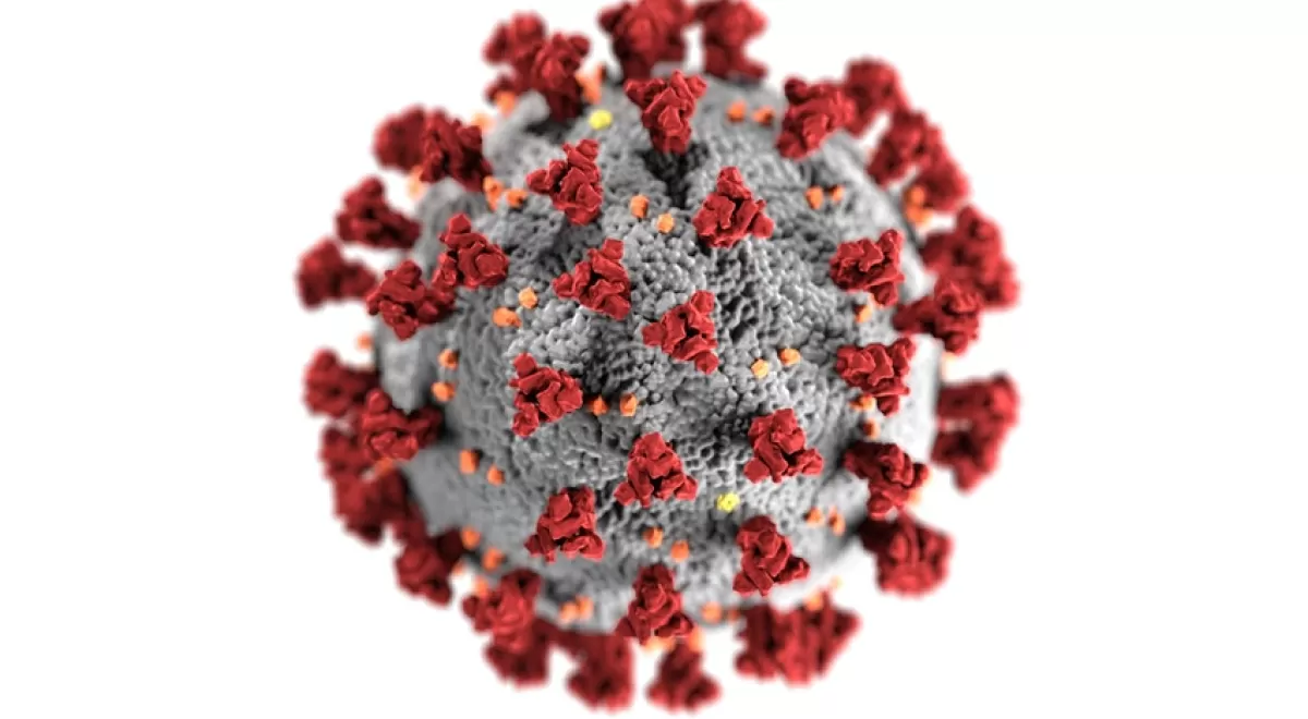 Publicado un estudio internacional sobre el coronavirus en aguas residuales liderado por el ICRA