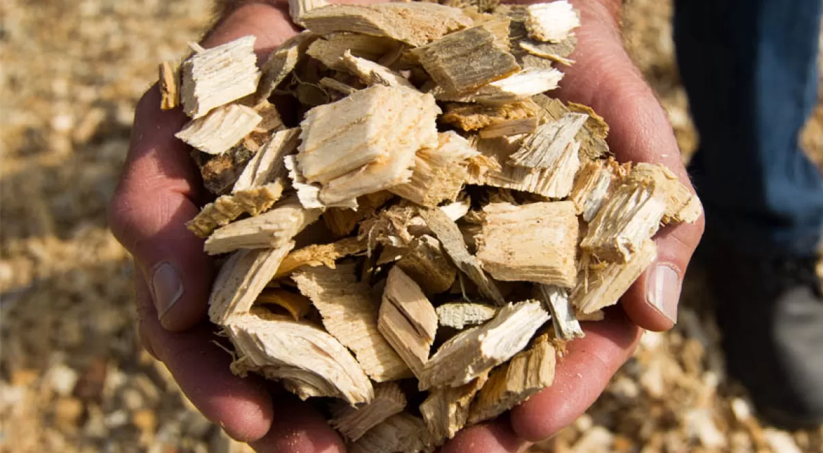 Chile, nuevo mercado para el sector de la biomasa