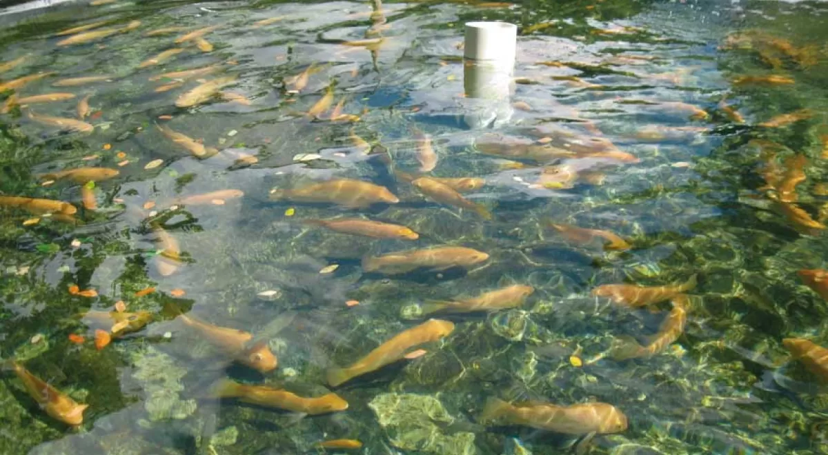 AZTI lidera un proyecto para impulsar nuevas estrategias de valorización de subproductos de la acuicultura