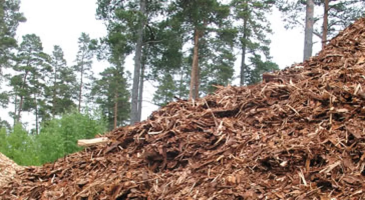 La biomasa en Aragón, 600.000 toneladas al año disponible para su valorización energética