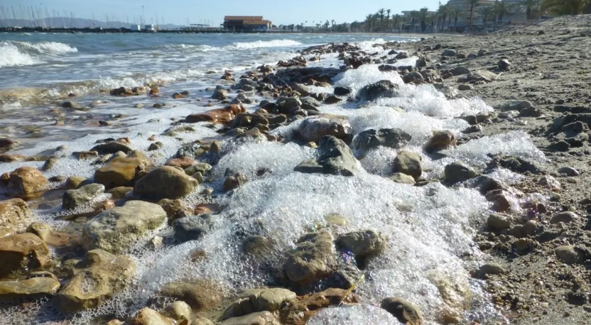 El Mar Menor podría sufrir un agotamiento de oxígeno y muerte masiva de organismos